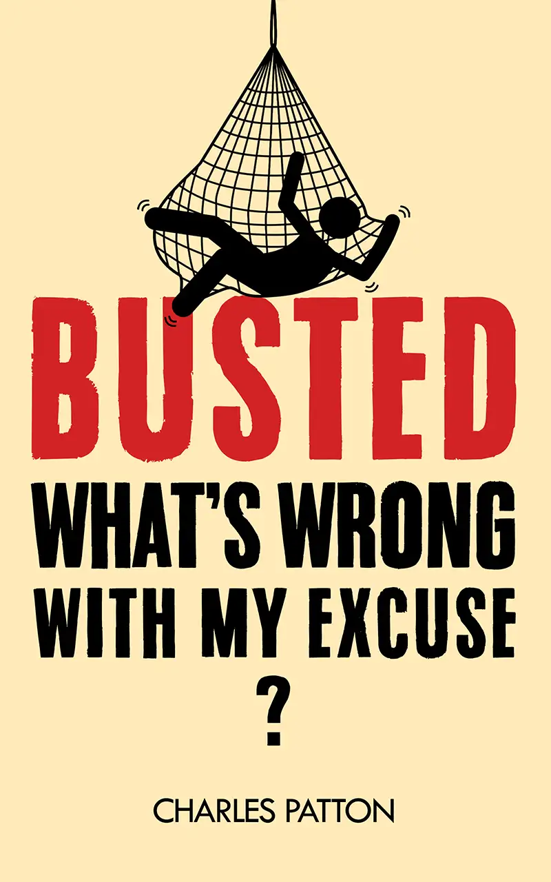 Busted, What's Wrong With My Excuse — cover